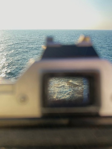 في وداع الأشياء.