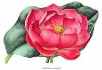 مختارات من 2025