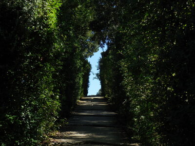 في وداع ٢٠٢٥