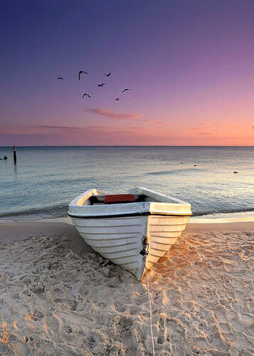 طاقة نور ⚡ 🌅 عدد الخميس (أنيس الروح)