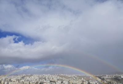 أَعِيدوا للحيتانِ أَجنِحتَها