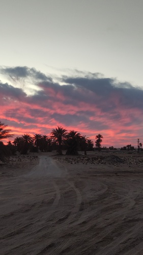 ديسمبر المُحمّل بالكثير