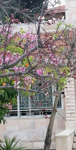 كيركيغارد: عن الصمت