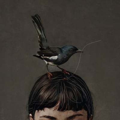 مفاوضة الشّيب .