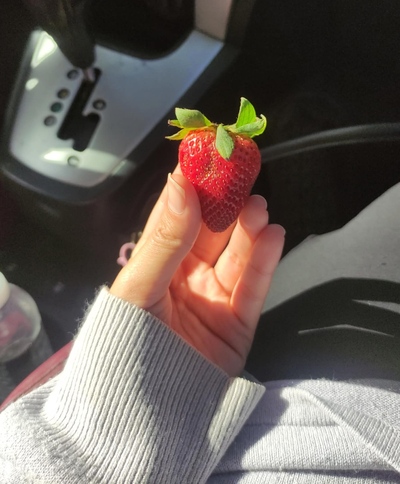 فبراير ٢٦: مُسايسة وتسليك لأيامي (جاري التعديل)