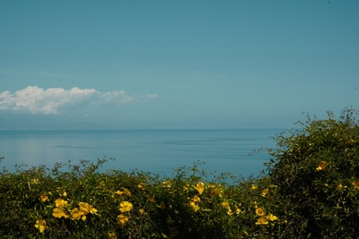 خَضِّر وعودي