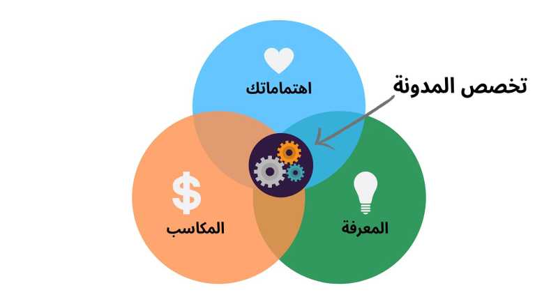 لماذا فضّلتُ اختيار تخصصٍ لمدونتي؟